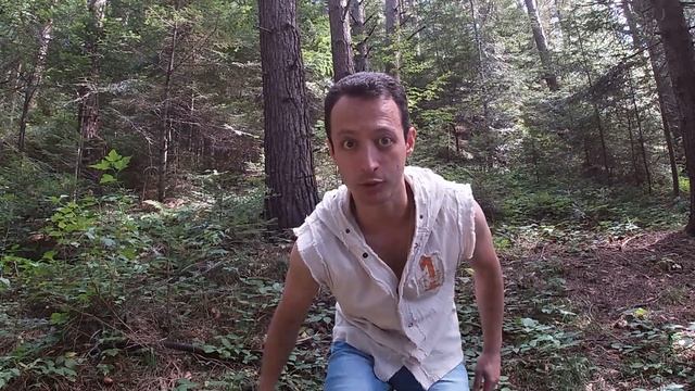 "Орёл и Олежка". Карпаты