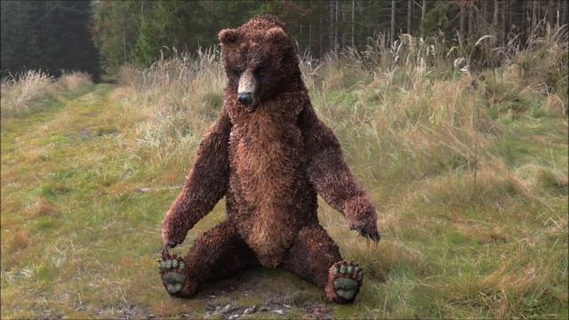 Grizzly Bear Relaxing -Can use Facial & Body Mocap!