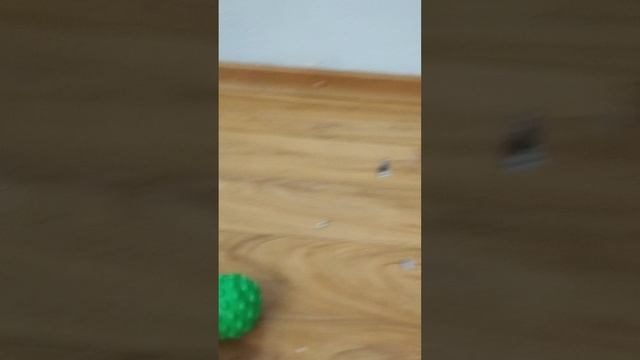 1000012457.mp4