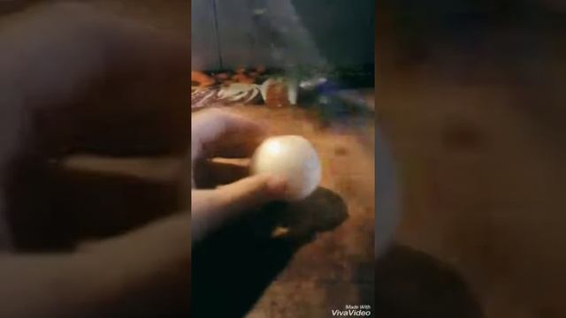 Грибы  с луком