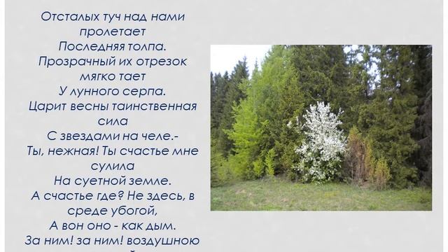 "Поэзия сердца" - 200 лет Афанасию Фету.