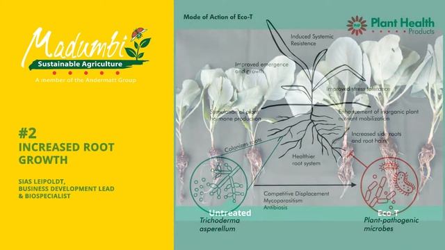 Eco-T® | Manage soil diseases and promote healthy root systems