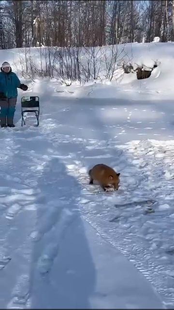 ловись рыбка и большая и маленькая