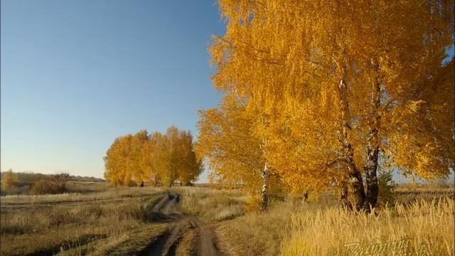 БЕРЕГ ЮНОСТИ МОЕЙ   читает М Успенская