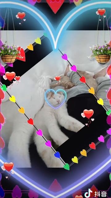 ❤️Васька и Юрка в Китае