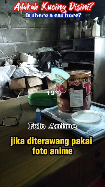 Ruangan yang Berantakan #Cat #CuteCat #Kucing #Shorts #Anime