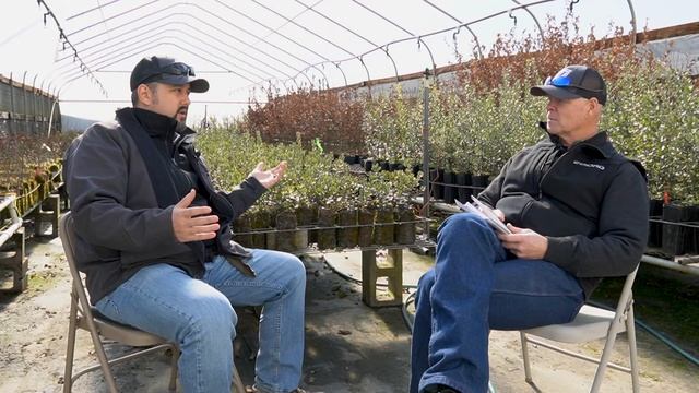 Biostimulants in Controlled Environment Agriculture