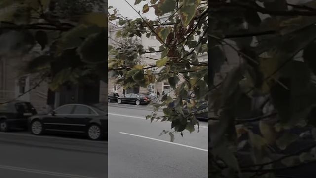 Моя осенняя работа, такая эмоциональная…. «Сентябрь.September”. Красота взгляда, слова, жеста…..