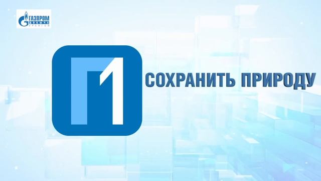20  мая 2020