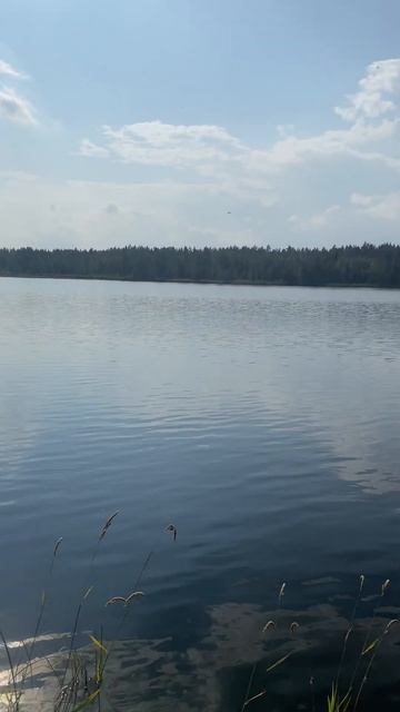 Провожаю лето на озере (30.08.2К24) #summer #lake #adventure #asx #automobile #asx_adventures