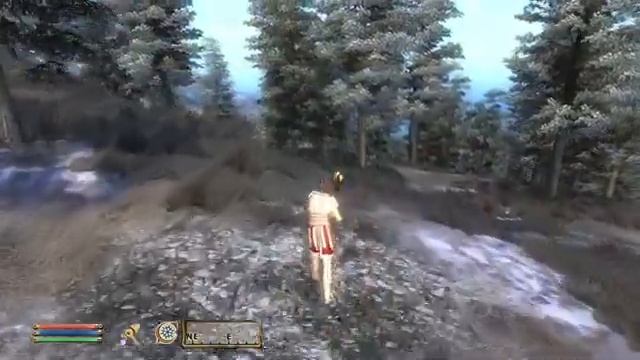 Exploring Morrowind in Oblivion