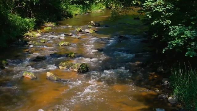Kласична музика шедеври