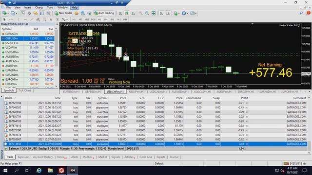 Forex Hedge Scalper EA (60% Profit)