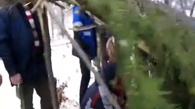 Курс выживания в лесу