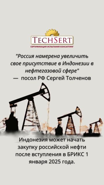 🇮🇩 Россия, 🇷🇺 Индонезия и нефтегазовая отрасль: что будет?