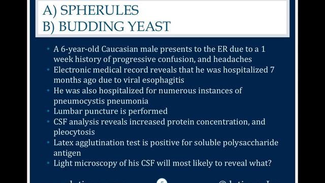 774: Spherules or Budding Yeast