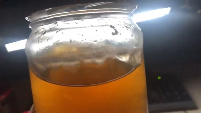 Фундук Трапезунд и мицелий белого трюфеля Magnatum