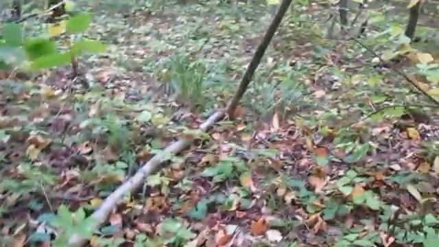 удачное место