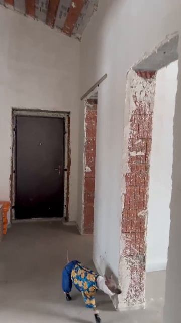 WhatsApp Video 2025-02-02 at 16.04.51