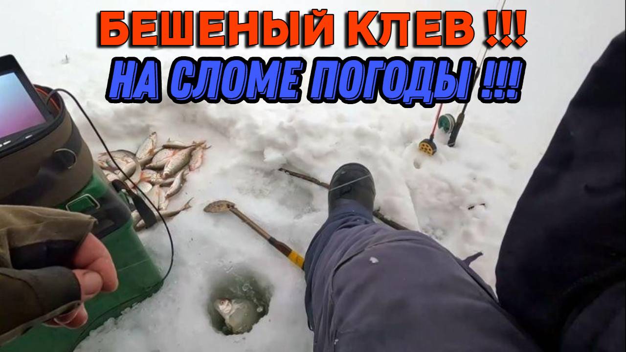 БЕШЕНЫЙ КЛЕВ НА СЛОМЕ ПОГОДЫ ! Рыбалка на Оби в протоке 31 января 2025г.