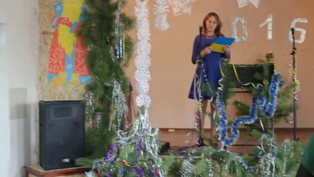 Марс,Новый 2016 год MVI 5728