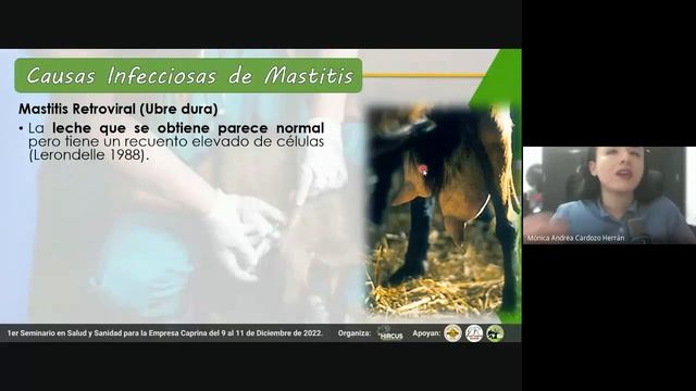 La mastitis: Impacto económico y sanitario en la lechería caprina
