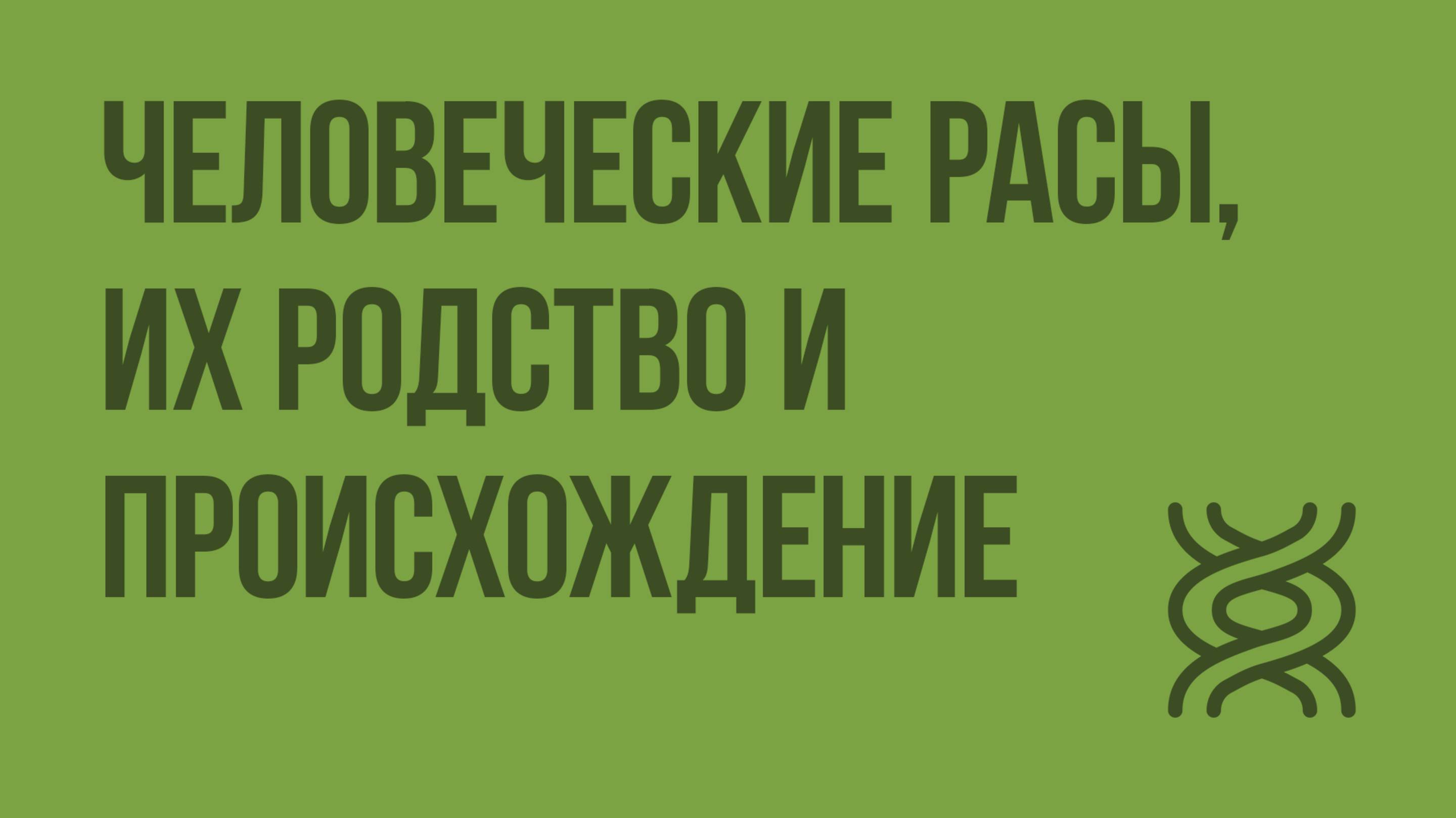 Человеческие расы, их родство и происхождение. Видеоурок по биологии 9 класс