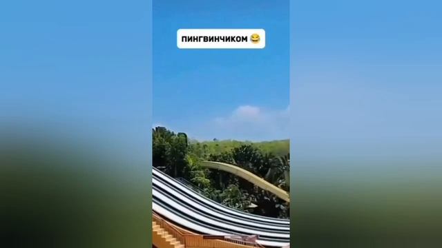 Хороший кабанчик 😂😂