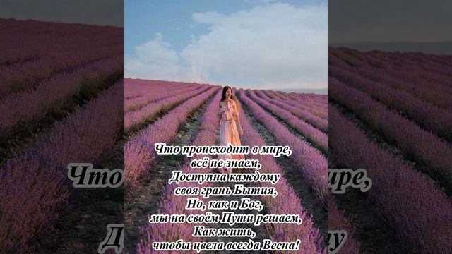 #shorts Что происходит в мире, всё не знаем...  #стихи #события #мир #жизнь #красота #добро
