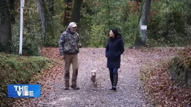 Italy Truffle-hunting and Trading with China