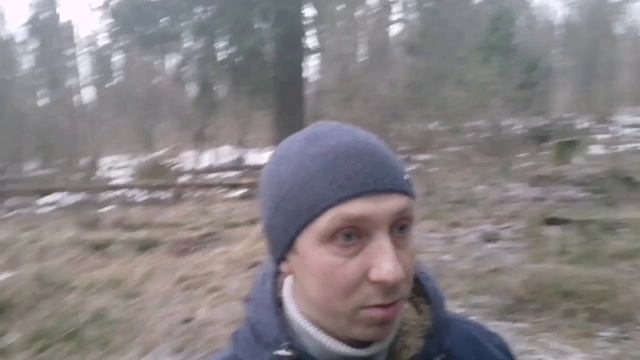 Мы идём в лес за шишками, зачем они нам нужны?