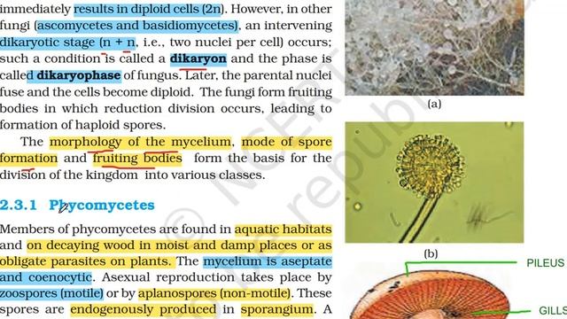 BIOLOGICAL CLASSIFICATION (PART 4)