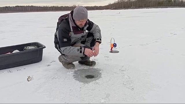 проверка жерлиц 02.02