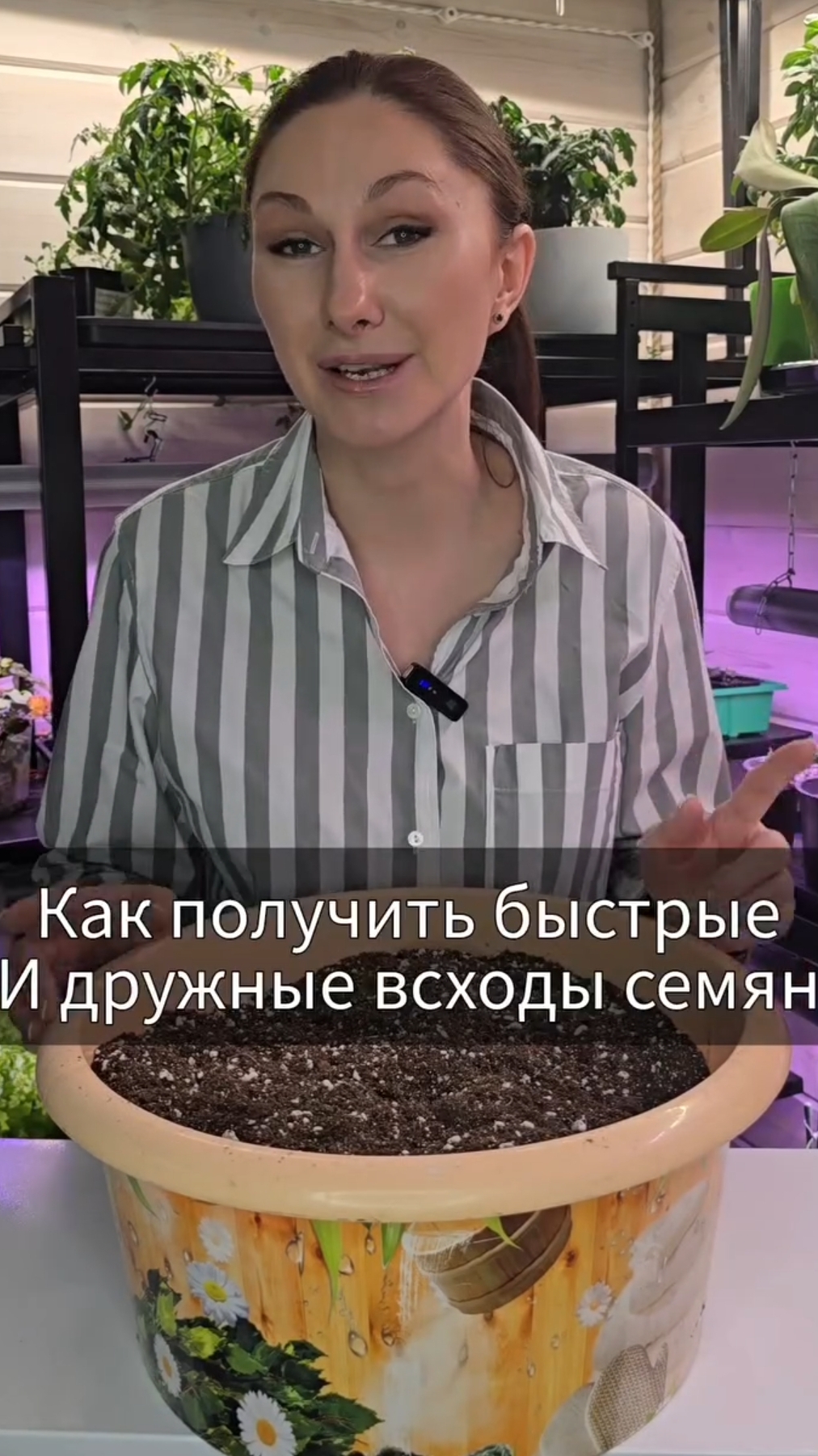 Всё взойдёт очень быстро и дружно.