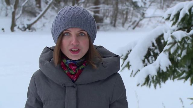 Мир прекрасней, чем кажется