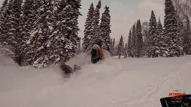 Зимний лес и снегоходы! Зима отличное время года!