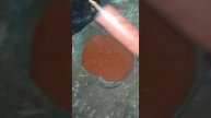 для вешенки