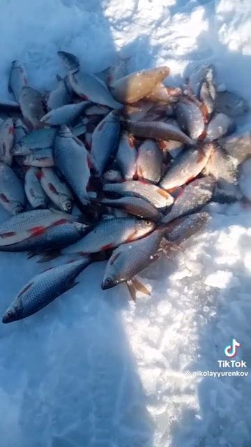 рыбалка