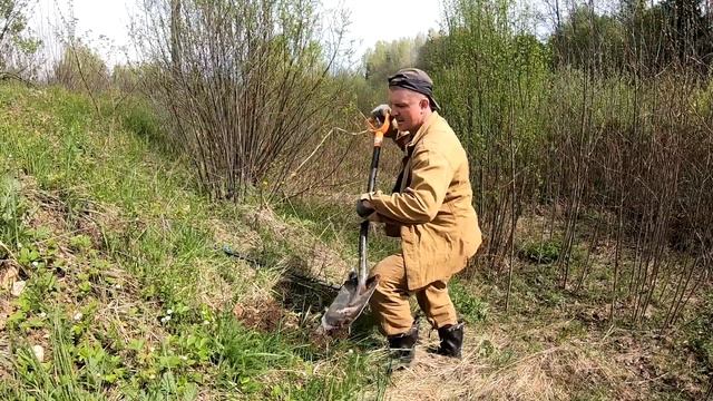 ВЕСЕННИЙ ФЕРРУМ, ВМЕСТО ГРИБОВ