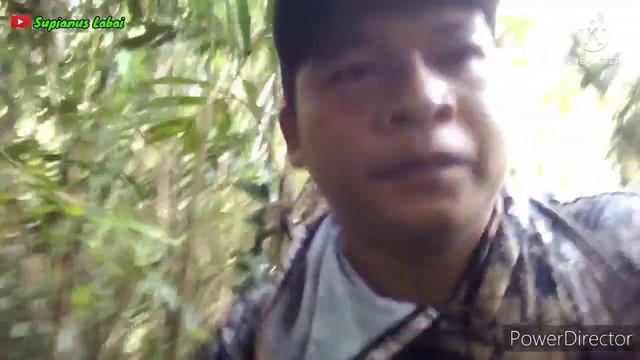 BERBURU HAMA TUPAI🐿️DAN BURUNG PUNAI🐦DI SPOT LAMA🔴HASILNYA SANGAT MEMUASKAN👍👍👍