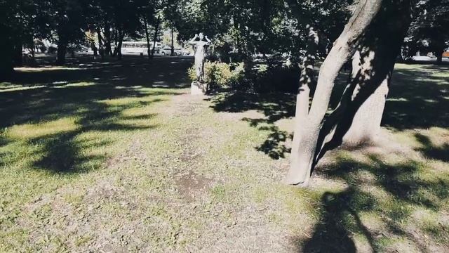 VID 20230805 160751 Думка (Витезслав Незвал)...Паваел Васильев Лахтинский