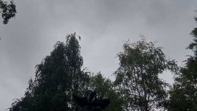 Вытегра и поэт Клюев
