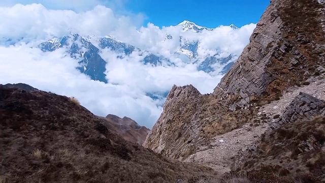 Cordyceps  Hunting In The Mouniains Of Nepal || Raj Gurung Manang