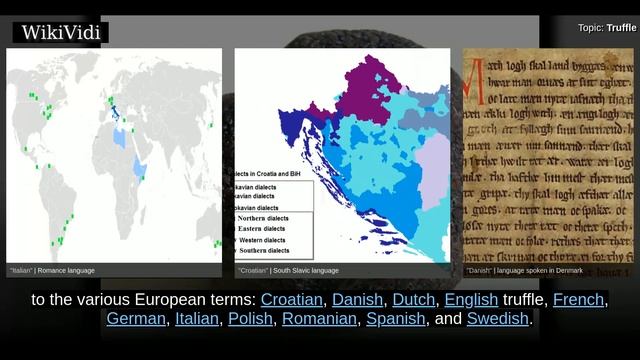 TRUFFLE - WikiVidi Documentary