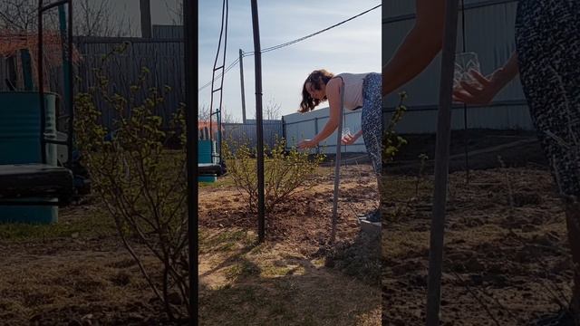 1000003623.mp4