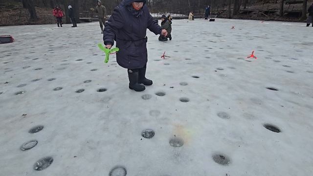 03.02.25 г. Парк отдыха водопад