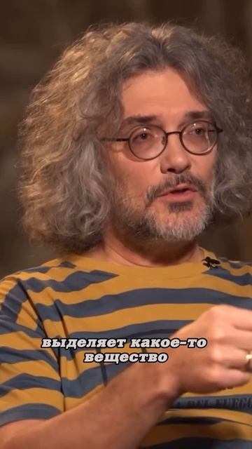 Константин Северинов. Открытие первого антибиотика. #наука #science #short