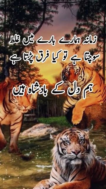 Deep LineShayari/DeepShayriAina Line Whats AppStatus/ #shorts#status #youtubeshouts