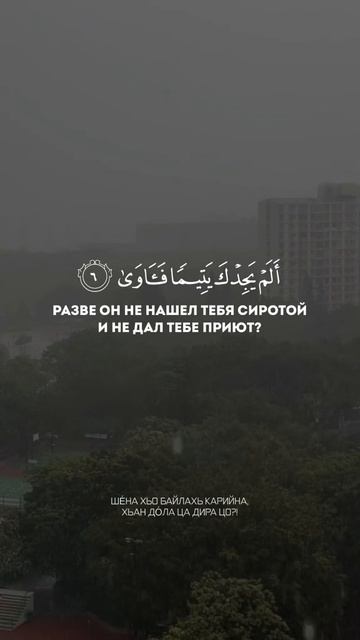 Сура Ад-Духа🤲