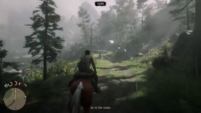 President business plays RDR2